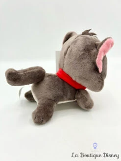 Peluche Mini Berlioz Naïf Disneyland Paris 2020 Disney Les Aristochats Chat Noir 15 Cm 9 Peluche Mini Berlioz Naïf Disneyland Paris 2020 Disney Les Aristochats Chat Noir 15 Cm -Meilleur Jouets Magasin peluche mini berlioz naif disneyland disney chat noir les aristochats 2